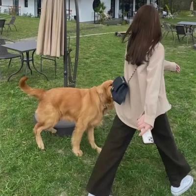 少女妈妈 第一季